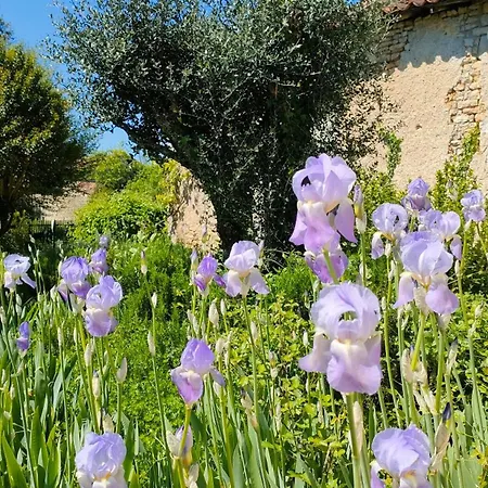 度假居 Les Murmures De Charente *